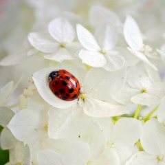 Оксана Поліщук, 11.04.1988, Киев