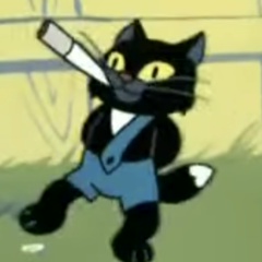 Александр Кокарев, Санкт-Петербург