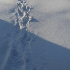 Лейсан Рамилевна