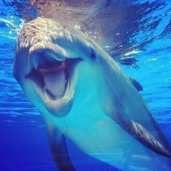 Роза Ешембетова, 27.10, Казань