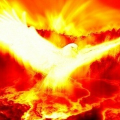 Виталий Попов, 14.04.1981, Харьков