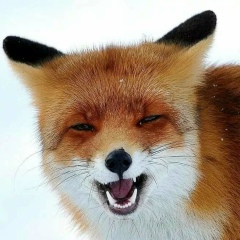 Ольга Скрипка, 22.04