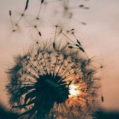 Иришка Лавриненко