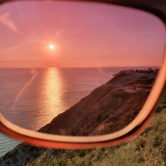 Глеб Петрашевич, 07.04.1987, Санкт-Петербург