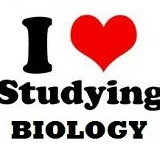 Алексей Оржешковский, 29.08.1983, Запорожье