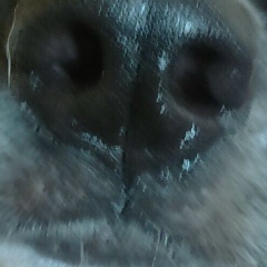 Максим Сухарев, 08.04, Москва