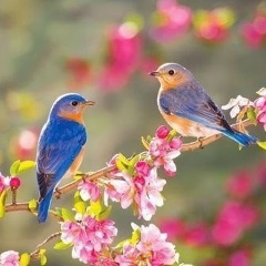 Іра Панас, 25.10.1982, Тернополь