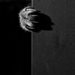 Магомед Гаджимурадов, 10.04.1990, Москва