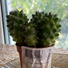 Иван Елинский, 14.11.1991, Москва