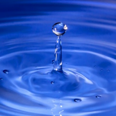 Евгений Шатохин, 09.08.1982, Черкассы