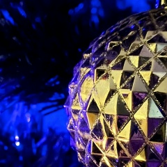 Юлия Мозгалева, Няндома