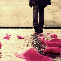 Дмитрий Коломийцев, 09.05.1970, Винница