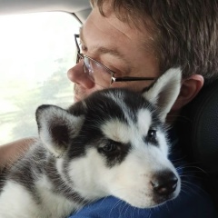 Антон Степанов, 17.05, Санкт-Петербург