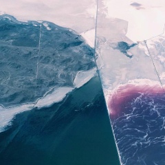 David Swarosvky, 18.11.1994, Medellín