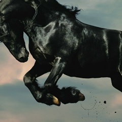 Vitalia S-Humil-Off, 25.12.1983, Санкт-Петербург