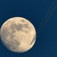 Дима Николаев, 04.06.1986, Екатеринбург