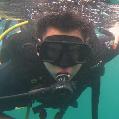 Kyrgyz White-Collar, 18.11.1993