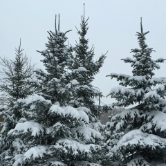 Луиза Тен, 10.05.1984, Москва