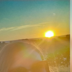 Наталья Никифорова, Уральск