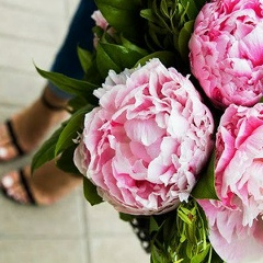 Светик Sweety, 09.11, Нижний Новгород