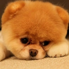 Артур Долина, 27.01.2001, Никополь