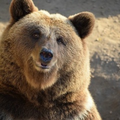 Андрей Панасик, 11.12.1988, Санкт-Петербург