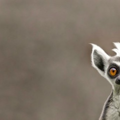 Антон Павлов, 13.02.1983