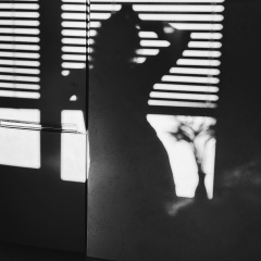 Анастасия Гуреева, Санкт-Петербург