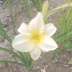 Ирина Лазаренко, 12.02.1989, Судак