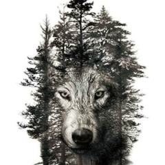 Елена Храмцова, 21.09, Омск