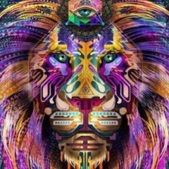 Илья Громов, 22.08.1991, Санкт-Петербург