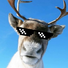 Андрей Авдеев, 15.05, Рига