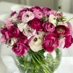 Олеся Сопкина