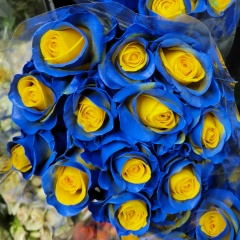 Юля Кунакаева, 20.10, Санкт-Петербург