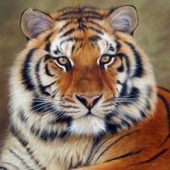 Василий Дмитриев, 20.09