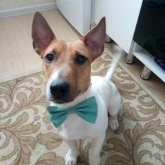 Борис Волков, 11.07.1986, Тверь