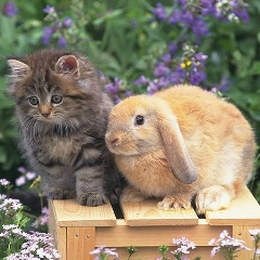 Маргарита Мирзабаева, 12.06, Москва