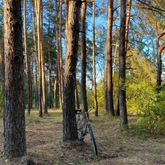 Валентина Борисенко, 02.06