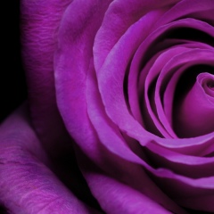 Лаура Вардазарян, 15.01, Берд