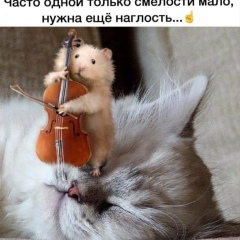 Арман Ахтоян, 30.05, Киев