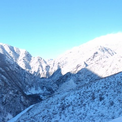 Леонид Сидоров, Москва