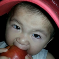 Гульмира Алменова