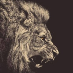 Иван Петров