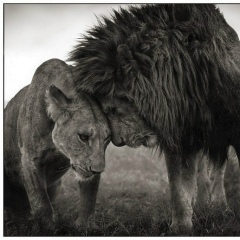 Shahane Karapetyan, 23.03.1985, Ереван