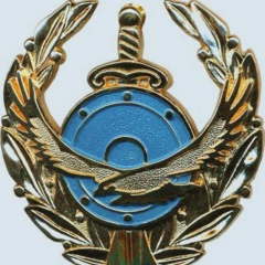 Алмас Жанысбаев, 15.11