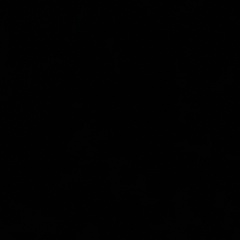 Дмитрий Трофим