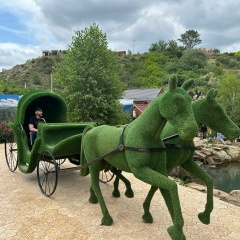 Анзор Непомнюев, 10.04.1981, Грозный
