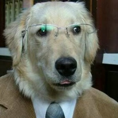 Carlos Henrique Buzeto, 24.08.1988, São Paulo