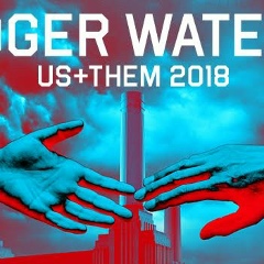 Евгения Габрусь, Санкт-Петербург