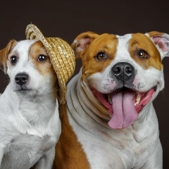 Елена Золотова, 04.11.1972, Екатеринбург